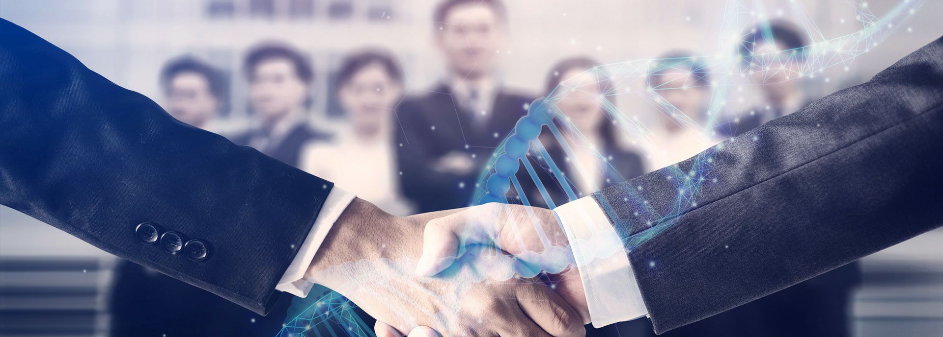 开云官方网页版-开云(中国)